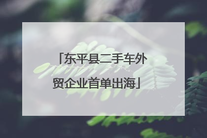 东平县二手车外贸企业首单出海
